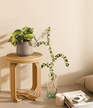 Load image into Gallery viewer, Eternal Gray