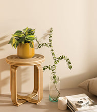 Load image into Gallery viewer, Mustard