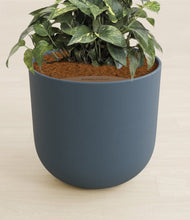 Load image into Gallery viewer, Iron Gray stand:all