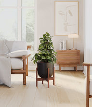 Load image into Gallery viewer, Stone Black stand:walnut