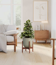 Load image into Gallery viewer, Sage Green stand:walnut