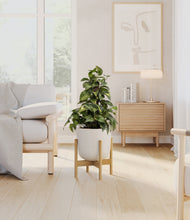 Load image into Gallery viewer, Natural Bamboo stand:bamboo