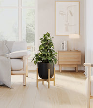Load image into Gallery viewer, Stone Black stand:bamboo