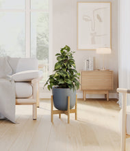 Load image into Gallery viewer, Sage Green stand:bamboo