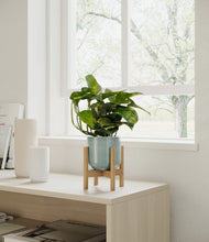 Load image into Gallery viewer, Reactive Aqua stand:bamboo