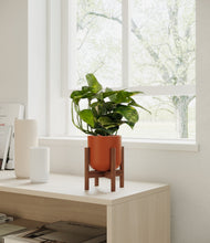 Lade das Bild in den Galerie-Viewer, Earth Red stand:walnut