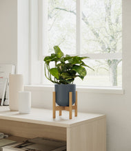Lade das Bild in den Galerie-Viewer, Iron Gray stand:bamboo
