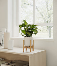 Lade das Bild in den Galerie-Viewer, Natural Bamboo stand:bamboo