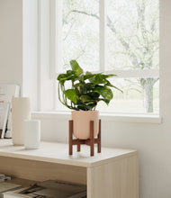 Lade das Bild in den Galerie-Viewer, Sandy Pink stand:walnut