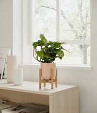 Lade das Bild in den Galerie-Viewer, Sandy Pink stand:bamboo