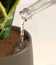 Load image into Gallery viewer, Olive stand:all