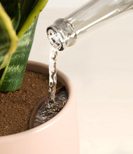 Load image into Gallery viewer, Gentle Pink stand:all