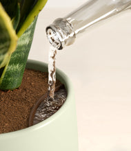 Load image into Gallery viewer, Turquoise stand:all