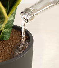 Load image into Gallery viewer, Dark Olive stand:all