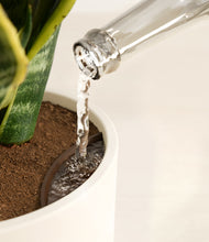 Load image into Gallery viewer, Cream stand:all