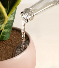 Load image into Gallery viewer, Calm Rose stand:all