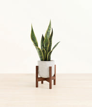 Load image into Gallery viewer, Hammered Ivory stand:walnut