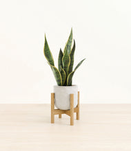 Load image into Gallery viewer, Hammered Ivory stand:bamboo