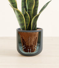 Load image into Gallery viewer, Iron Gray stand:all