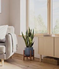 Load image into Gallery viewer, Deep Navy stand:walnut