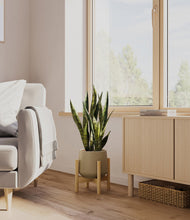 Load image into Gallery viewer, Olive stand:bamboo