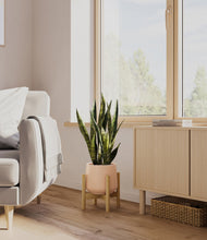 Load image into Gallery viewer, Gentle Pink stand:bamboo