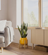 Load image into Gallery viewer, Mustard stand:bamboo