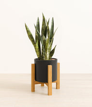 Load image into Gallery viewer, Black stand:light