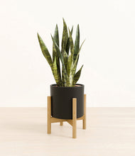 Load image into Gallery viewer, Black stand:bamboo