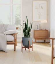 Load image into Gallery viewer, Iron Gray stand:walnut