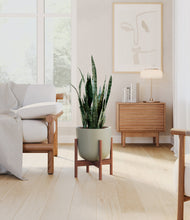 Load image into Gallery viewer, Sage Green stand:walnut