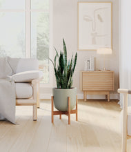 Load image into Gallery viewer, Sage Green stand:bamboo