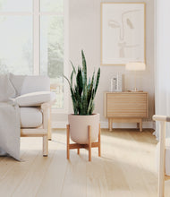 Load image into Gallery viewer, Sandy Pink stand:bamboo