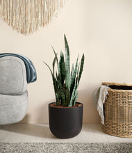 Load image into Gallery viewer, Stone Black