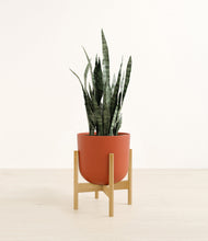 Load image into Gallery viewer, Earth Red stand:bamboo