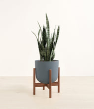 Load image into Gallery viewer, Iron Gray stand:walnut