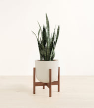 Load image into Gallery viewer, Natural Bamboo stand:walnut
