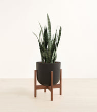 Load image into Gallery viewer, Stone Black stand:walnut