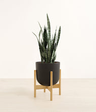 Load image into Gallery viewer, Stone Black stand:bamboo