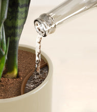 Load image into Gallery viewer, Sage Green stand:all