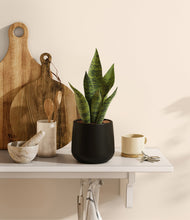 Load image into Gallery viewer, Black