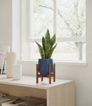 Load image into Gallery viewer, Deep Navy stand:walnut