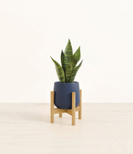 Load image into Gallery viewer, Deep Navy stand:bamboo