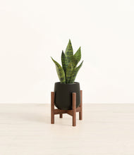 Load image into Gallery viewer, Black stand:walnut