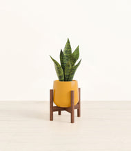 Load image into Gallery viewer, Mustard stand:walnut