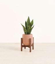 Load image into Gallery viewer, Calm Rose stand:walnut