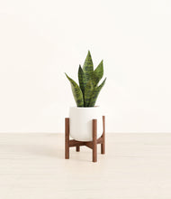 Load image into Gallery viewer, White stand:walnut