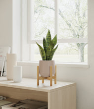 Load image into Gallery viewer, Eternal Gray stand:bamboo