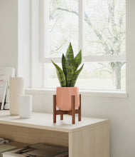 Load image into Gallery viewer, Calm Rose stand:walnut