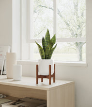 Load image into Gallery viewer, White stand:walnut